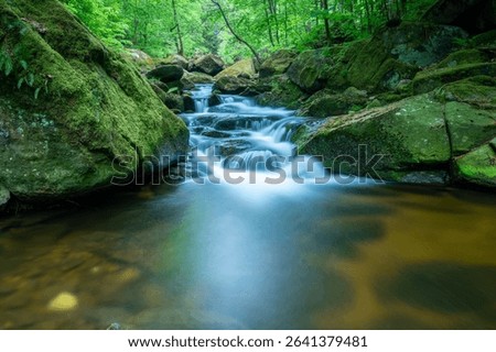 A tranquil mountain stream cutting through the lush green Ilse valley in Germany.