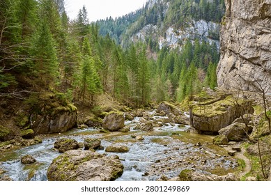 Tranquil mountain stream flowing through lush forest valley with rocky cliffs.