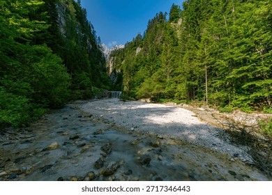 A tranquil mountain stream flows gently through dense forests, evoking peace and adventure before reaching Slovenias stunning Martuljek waterfalls. Natural beauty and serenity captured in pristine detail