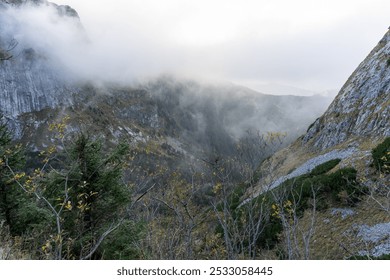 Tranquil mountain valley shrouded in fog with dense forests and rocky slopes on a moody day. Concept of untouched wilderness, scenic beauty, and peaceful outdoor exploration. High quality photo - Powered by Shutterstock