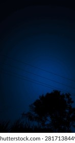 A tranquil night sky, studded with countless stars, stretches across the deep blue horizon. Silhouettes of trees and grass frame the bottom of the image; the soft gradation of the night sky creates a peaceful, contemplative atmosphere, making the photograph feel both serene and visually captivating.