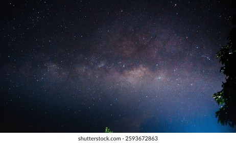 A tranquil nightscape with a starry sky with trees silhouetted in the foreground