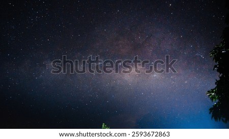 A tranquil nightscape with a starry sky with trees silhouetted in the foreground
