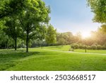 Tranquil Park Landscape Bathed in Morning Sunlight  