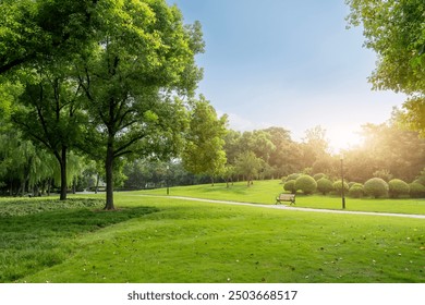 Tranquil Park Landscape Bathed in Morning Sunlight   - Powered by Shutterstock