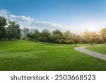 Tranquil Park Landscape with Pathway and Greenery Under Blue Sky  