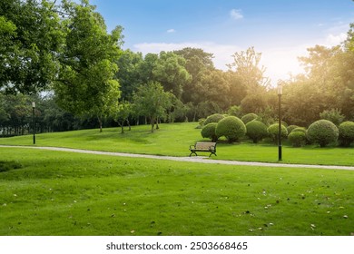 Tranquil Park Scene at Sunrise with Lush Greenery and Peaceful Pathway   - Powered by Shutterstock