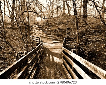 A tranquil path leads through a dense forest, surrounded by tall trees and underbrush. The sun casts intricate shadows on the ground, creating a peaceful atmosphere near Harden, Bingley, UK