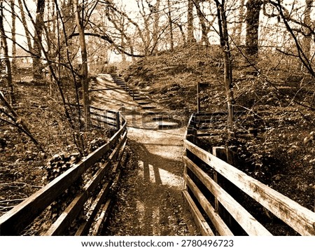 A tranquil path leads through a dense forest, surrounded by tall trees and underbrush. The sun casts intricate shadows on the ground, creating a peaceful atmosphere near Harden, Bingley, UK