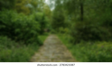 A tranquil pathway meanders through a vibrant green forest, bathed in soft natural light. The scene evokes peace and a connection with nature.