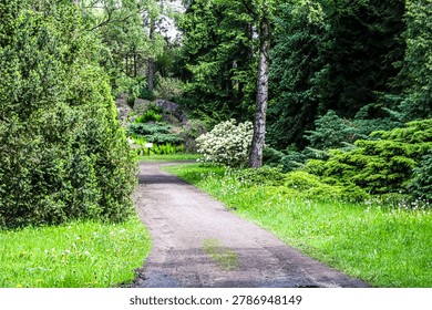 A tranquil pathway meanders through a vibrant botanical garden filled with diverse evergreen shrubs and flowering plants