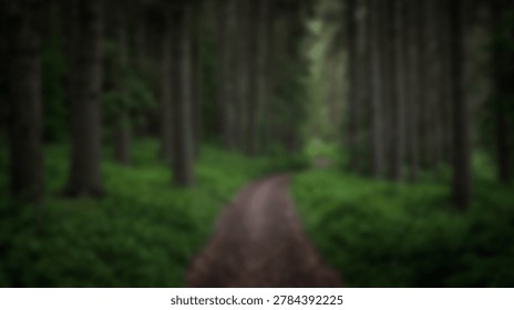 A tranquil pathway winds through a dense forest, surrounded by lush green vegetation and towering trees, creating a serene and immersive natural scene.
