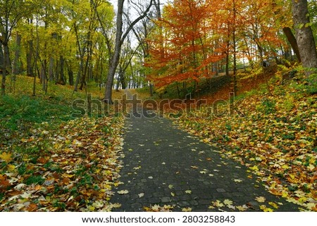 A tranquil paved walkway winds through a city park adorned with vibrant fall foliage and scattered leaves on a crisp September morning
