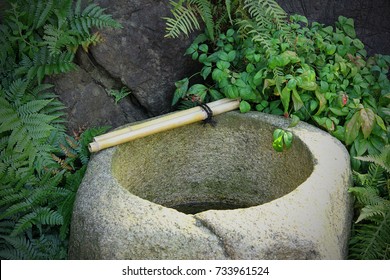 Tranquil Peaceful Zen Garden Relaxing Japanese Stone Water Bowl With Green Ferns. Calm Calming Water Feature  Asian Landscape Design 