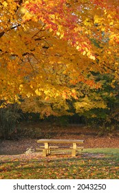 Tranquil picnic table in the autumn