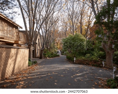 A tranquil residential street lined with bare trees, adorned with fallen autumn leaves, and flanked by charming townhouses, the quiet suburban neighborhood in fall. North Melbourne VIC Australia