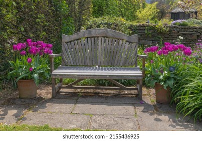Tranquil rest area set in the gardens with tulipa negrita adding colour planted in the terracotta pots