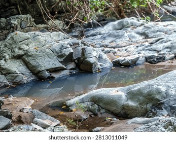A tranquil river flowing between large gray rocks in a dense forest, showcasing the beauty of a natural creek, refreshing water, and peaceful woodland surroundings.