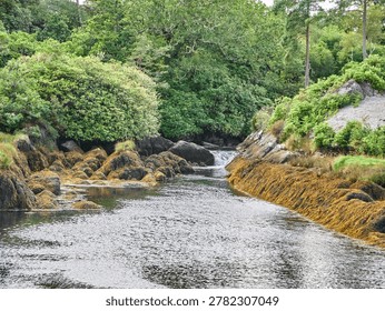 A tranquil river flows through a lush green forest with rocky banks and a small waterfall, creating a serene natural landscape for outdoor and travel concepts.