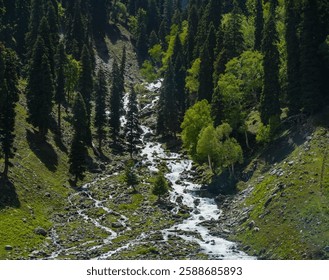 A tranquil river flows through a valley surrounded by tall green trees.