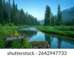 A tranquil river flows through a verdant valley, bordered by towering evergreen trees under a clear dawn sky. A sign marks the location as Peaceful Valley.