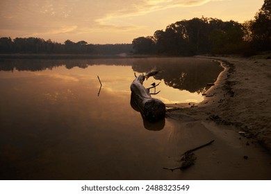 A tranquil river scene at sunrise or sunset. A fallen tree branch partially submerged creates a focal point. The sky’s warm hues reflect beautifully on the water’s surface. - Powered by Shutterstock