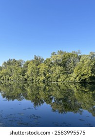 A tranquil river winds through a forested landscape, with trees lining the banks and reflections shimmering on the water’s surface. A serene nature scene ideal for travel, lifestyle, and editorial vis
