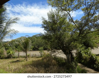 Tranquil riverside path lined with rustic bamboo fence and lush tropical foliage, leading toward a serene brown river flanked by distant palm-covered hills under a brilliant blue sky with scattered clouds.