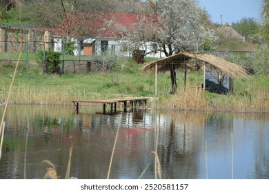 Tranquil rural scene with a wooden pier over a calm lake. A thatched-roof gazebo sits nearby among blooming trees and reeds. Reflections of a red-roofed house add charm to the peaceful countryside  - Powered by Shutterstock