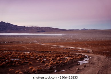 A tranquil scene of Bolivia’s Altiplano at dusk, with a winding dirt road leading to a distant lake, under a soft, pastel-colored sky, highlighting the serene and remote beauty of the landscape. - Powered by Shutterstock