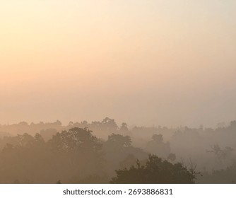 A tranquil scene captures the soft light and hazy atmosphere over a forest canopy, creating a serene natural backdrop.