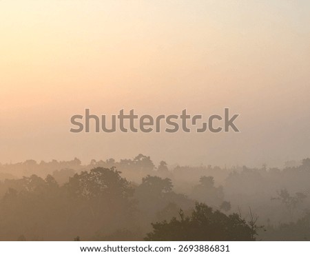 A tranquil scene captures the soft light and hazy atmosphere over a forest canopy, creating a serene natural backdrop.