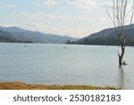 A tranquil scene featuring a majestic mountain in the background, a serene manmade lake in the foreground, and a lone dried tree standing at the near water