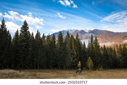 A tranquil scene with a grazing horse on grassy land, framed by evergreen trees and distant snow-capped peaks under a partly cloudy sky. - Powered by Shutterstock