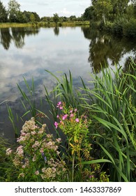 Tranquil Scene At The Lake Background 


