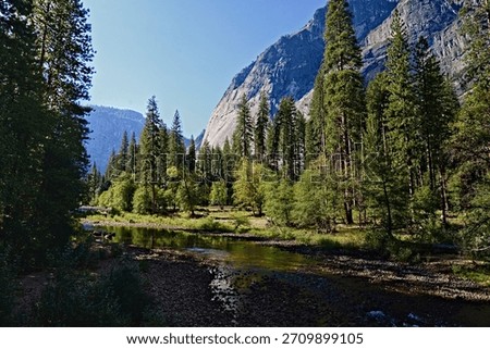 A tranquil scene with lush trees lining a calm Merced River, set against towering mountains in the Yosemite Valley. Sunlight gently filters through, creating a peaceful atmosphere.