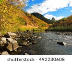 Tranquil scene next to the south platte river in fall in  waterton canyon, littleton, colorado        