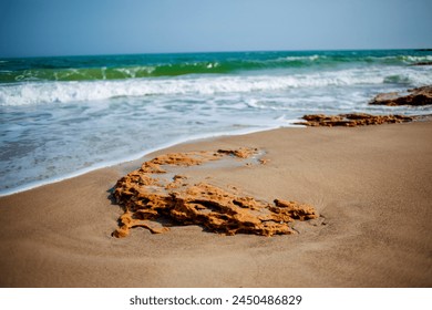 A tranquil scene of Odessa's Black Sea coastline. The sun casts a golden glow on the sandy beach dotted with rocks. Waves gently lap at the shore, reflecting the cloudy sky above - Powered by Shutterstock