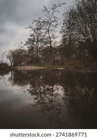 A tranquil scene showing the reflection of bare trees in calm water. The overcast sky and muted colors create a moody and serene atmosphere. The reflection adds depth to the composition, with the branches and trees reaching out into the water. The contrast between the reflection and the natural landscape gives the photo an artistic, almost surreal quality.