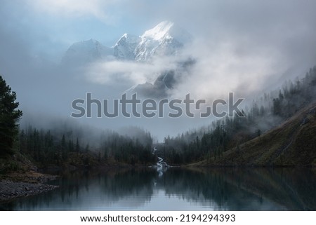 Tranquil scenery with snow castle in clouds. Mountain creek flows from forest hills into glacial lake. Snowy mountains in fog clearance. Small river and coniferous trees reflected in calm alpine lake. Foto d'archivio © 