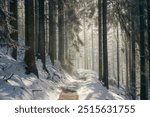 A tranquil snow-covered forest path illuminated by sun rays in a winter setting