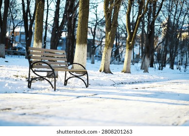 Tranquil Snow-Covered Park in Winter with Empty Wooden Benches