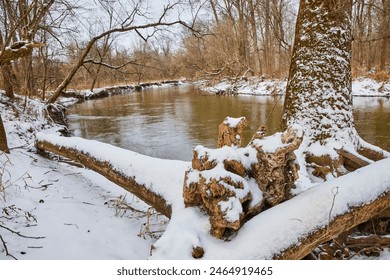 Tranquil Snowy Riverbank and Forest in Winter - Eye-Level View - Powered by Shutterstock