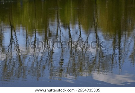 A tranquil spring scene capturing the reflection of trees and soft clouds in the gently rippled surface of a pond at Żabie Doły Nature Reserve in Poland, photographed in April.