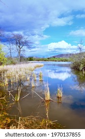 Tranquil Spring Scene With Natural Beauty Reflection On Water, In Upstate New York. Sunny Blue Clouds Sky 