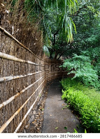 A tranquil stone pathway lined with traditional bamboo fencing and surrounded by lush greenery in Japan. A serene natural setting ideal for walking and enjoying the beauty of a Japanese garden or park.