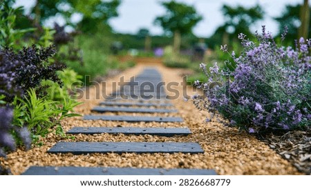 A tranquil stone pathway winds through a vibrant garden filled with blooming lavender and lush green plants, creating a serene natural scene.