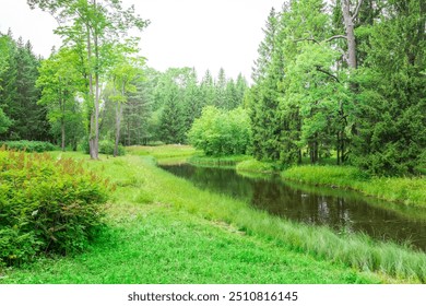 A tranquil stream flows through a dense forest, its waters reflecting the surrounding greenery. Sunlight filters through the trees, casting dappled shadows on the lush meadow.