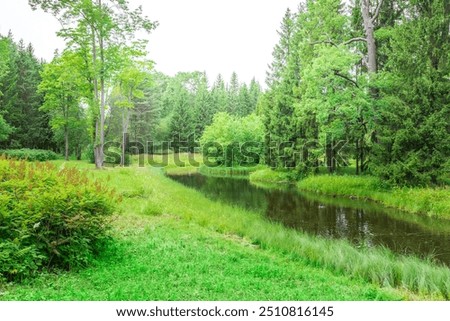 A tranquil stream flows through a dense forest, its waters reflecting the surrounding greenery. Sunlight filters through the trees, casting dappled shadows on the lush meadow.