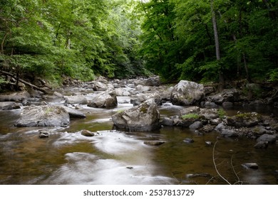 A tranquil stream flows through a lush forest with large rocks along the banks in a serene natural setting during the day - Powered by Shutterstock